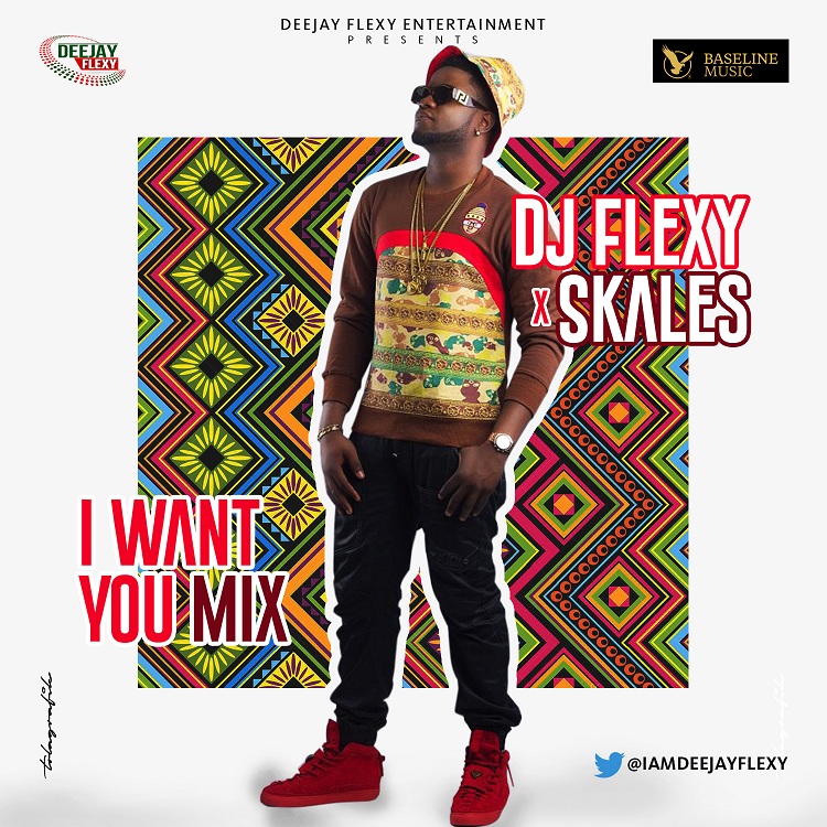 DJ Flexy Ft. Skales - I Want You Mix