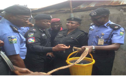 Lagos state Commissioner of Police, Fatai Owoseni; Commander, RRS, ACP  Olatunji Disu; DPO Ilasamaja , SP Oriyomi Titilayo Oluwasanmi and Area Commander 'D', ACP Salisu Gyadigya, inspecting the diesel from one of the  wells . pix by Evelyn Usman