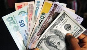 naira-and-dollar-notes-300x173