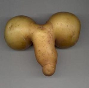 food-porn-potato-penis1