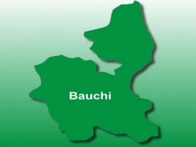 bauchi1