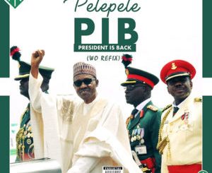 Pelepele - President Is Back