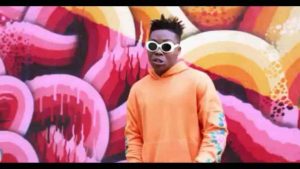 Video Reekado Banks Easy