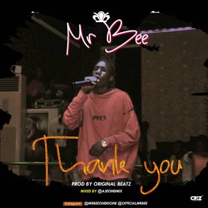 Mr Bee - Thank You