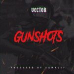 Download Vector GunShots
