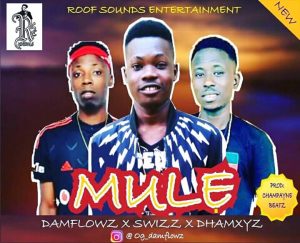 Damflowz x Swizz x Dhamxyz - Mule