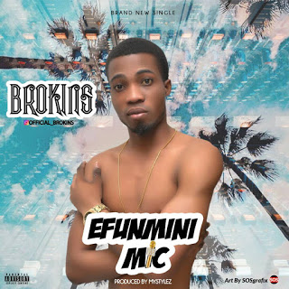 BROKINS - EFUNMINI MIC